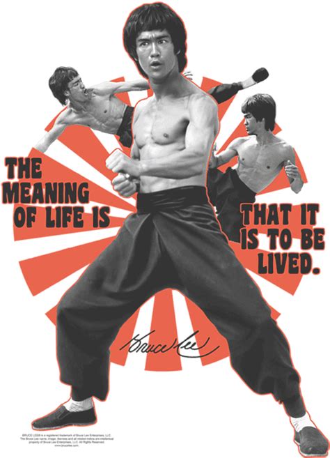 100 Bruce Lee Png Images