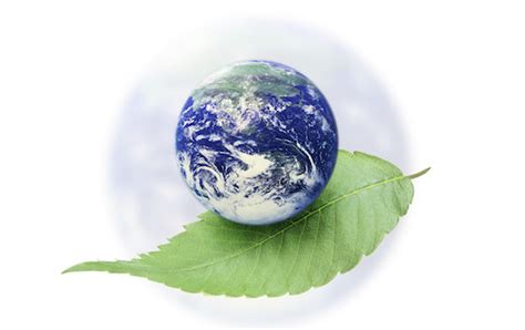 Environmental Harm Law Define