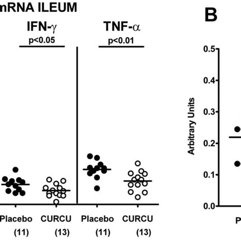 M Rna Expression Of Pro Inflammatory Cytokines In Ilea Of Mice 8 Days