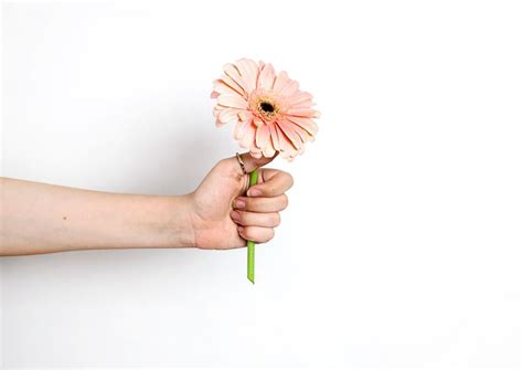 Productive Night Routine Ideas You Need To Try Boss Babe Chronicles