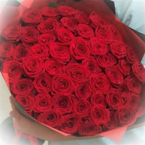 35 Роз Букет Фото Как Выглядит – Telegraph