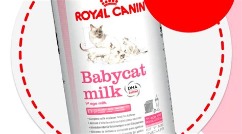 Молоко для котят ROYAL CANIN: как разводить сухую смесь по инструкции ...