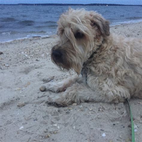 Linddzz Linddzz So Tonight Im Working Super Porn Photo Pics