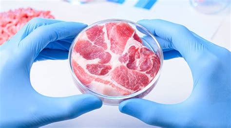 Lab Grown Meat Is Eating Meat Without Killing Animals The Future