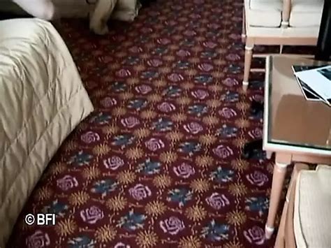 Chris Charming Porn Videos 2025 Porn Star Sex Scenes XHamster