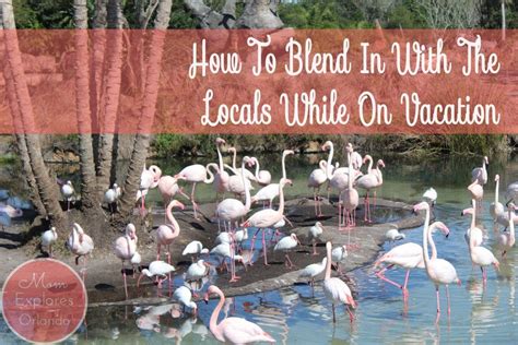 How To Blend In With Locals