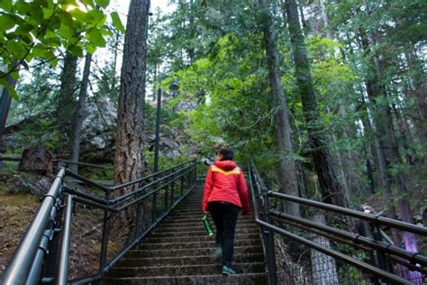 10 Best Walking Trails in Bellingham and Whatcom County