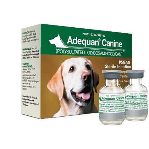 Intramuscular Injection Sites In Dogs Muscle Actions Of The Legs