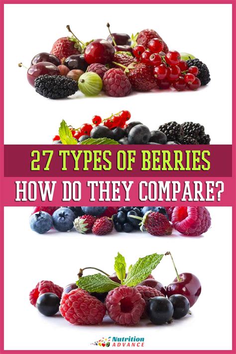 Types Of Berry Fruits Classification Of Fruit Types Qyidh