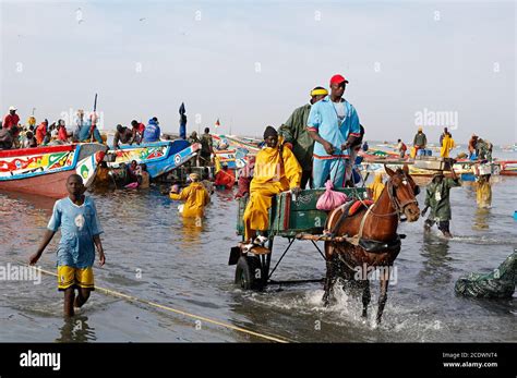 Senegal Mbour Fish Harbour On The Petite Cote Small Coast Stock