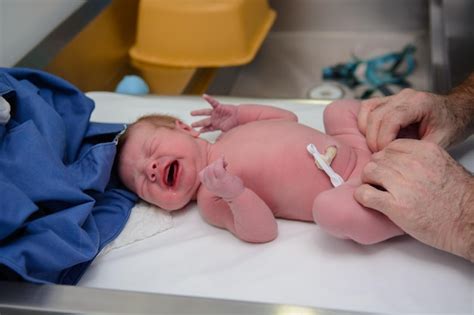 Premium Photo Medical Examination Of The Newborn