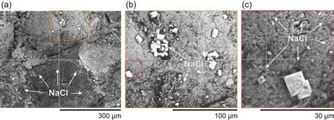 Scanning electron microscope (SEM) images showing salt crystals (NaCl ...