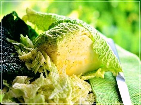Капуста: полезные свойства и 10 рецептов лечения