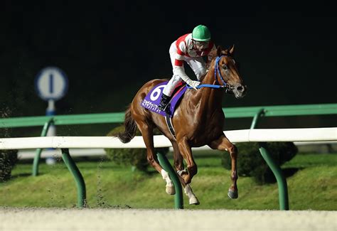 【盛岡競馬】第44回若駒賞見どころ 2024年10月19日掲載 ライブドアニュース