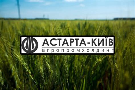 Astarta-Kyiv initiated agricultural machinery fleet update, investment ...