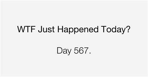 Day 567 Another Day In Paradise What The Fuck Just Happened Today