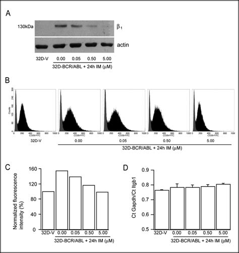 B Integrin And Gene Expression In D Cells A Itgb B