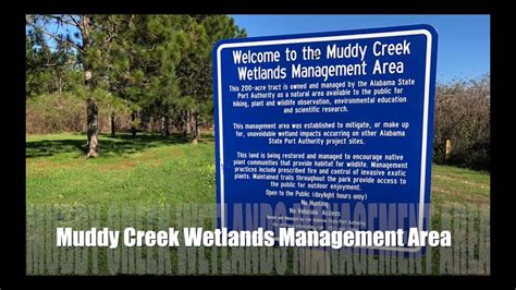 Exploring The Muddy Creek Wetlands Management Area Youtube