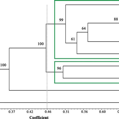 Upgma Based Dendrogram Showing Genetic Relationships Among The Nine