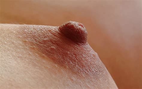 Pregnant Hooker Porn Pictures XXX Photos Sex Images 759752 PICTOA