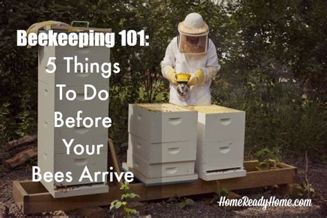 Beginners Guide To Beekeeping Essential Steps Before Your Bees Arrive