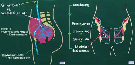 Training von Beckenboden & Atmung: Übung für Anfänger