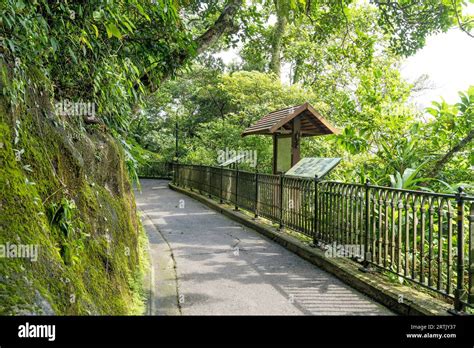 Hiking Trial On Victoria Peak In Hong Kong Lugard Road On A Sunny