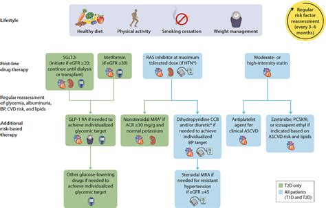 Pdf Optimization Of Guideline Directed Medical Therapies In Patients