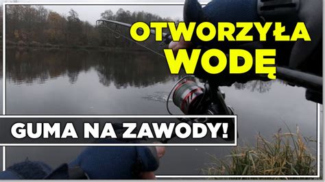 Jesienne Szczupaki I Zapomniana Przyn Ta Szok Jak Owi Ryby Na