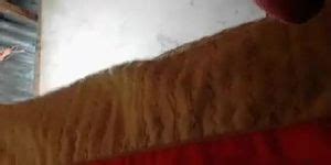 Pabna Girl Live Imo Sex With Boyfriend Videocall Tnaflix