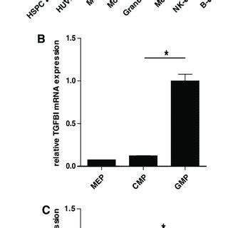 TGFBI Expression In Hematopoietic Cells A TGFBI MRNA Expression Was