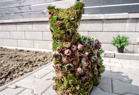How To Make Topiary Frames With Chicken Wire Easy Guide Wire Fence