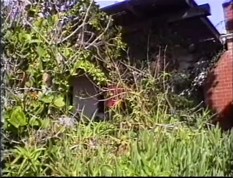 Echter Analsex Aus Brasilien Full Movie Porn 0b XHamster XHamster