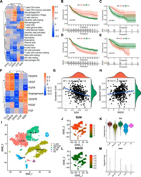 Frontiers Construction Of M6a Based Prognosis Signature And