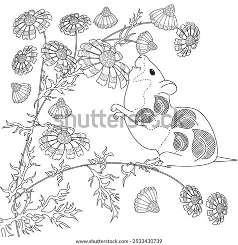 2506 Hamster Comic Stock Vectors And Vector Art Shutterstock