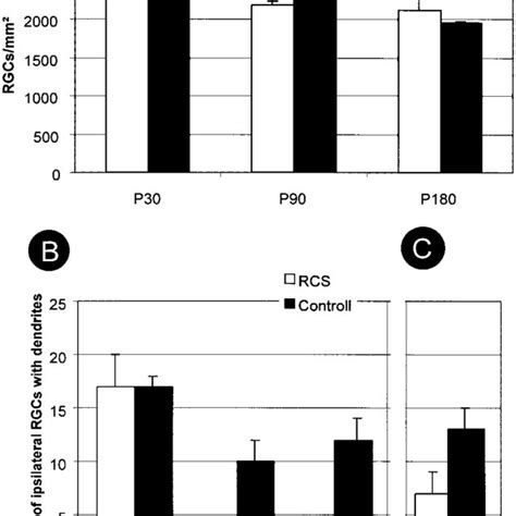 A Quantification Of Rgcs After Retrograde Labeling In The Retina