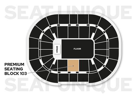 AO Arena Manchester Seating View: A Guide To Premium Seats