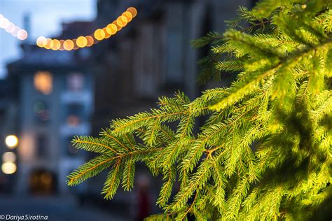 15 фото из рождественской Швейцарии: darsik_dasha — LiveJournal