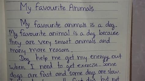 Short Essay My Favourite Animal Youtube