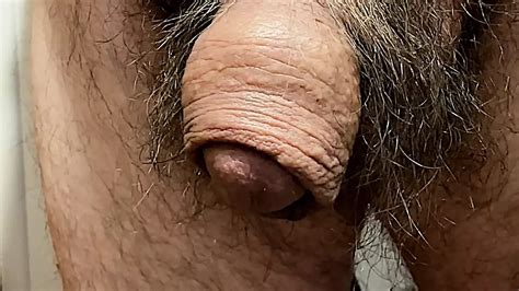 Free Hairy Pubes Gay Porn Videos Xhamster