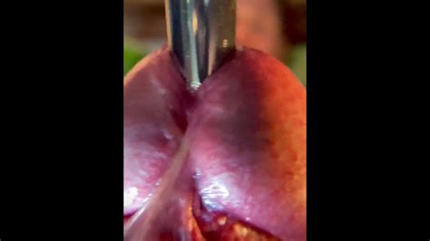 My Cumshot Close Up Pornhub Gay