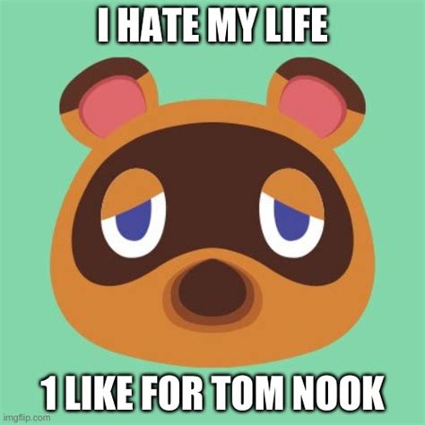 Tom Nook Imgflip