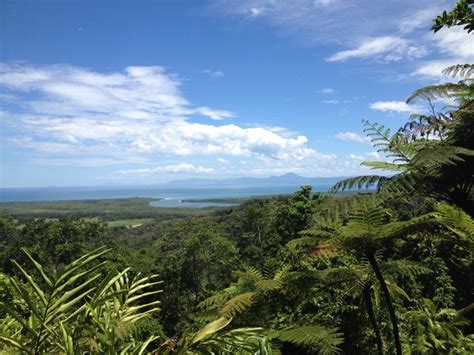 Northern Daintree Rainforest Guided Tour Walkabout Cultural Adventures