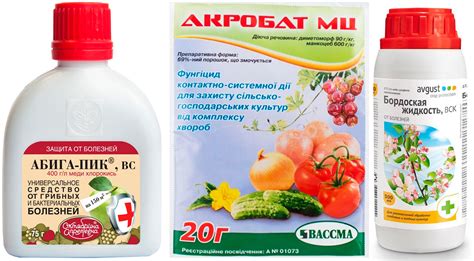 Милдью виноградов: чем обработать, препараты, народные средства