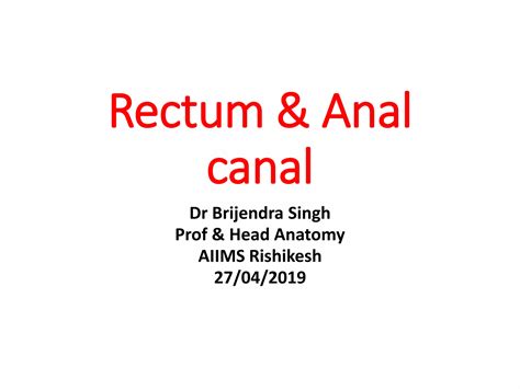 Rectum Anal Canal BS Copy Pdf Digestive Disorders Diseases And Conditions