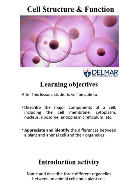 Cell Drawing Pdf