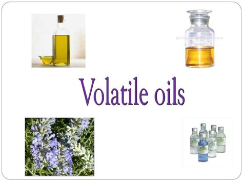 PPT - Volatile oils PowerPoint Presentation, free download - ID:5489620