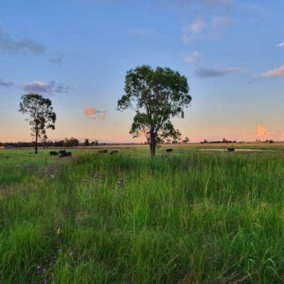 Big Gay Farmer Aussietinycock Twitter
