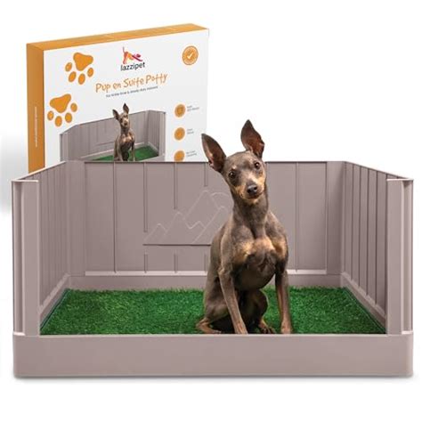 indoor dog potty options  havanese homes  training amys