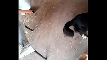 Siploc Spycam Xvideos